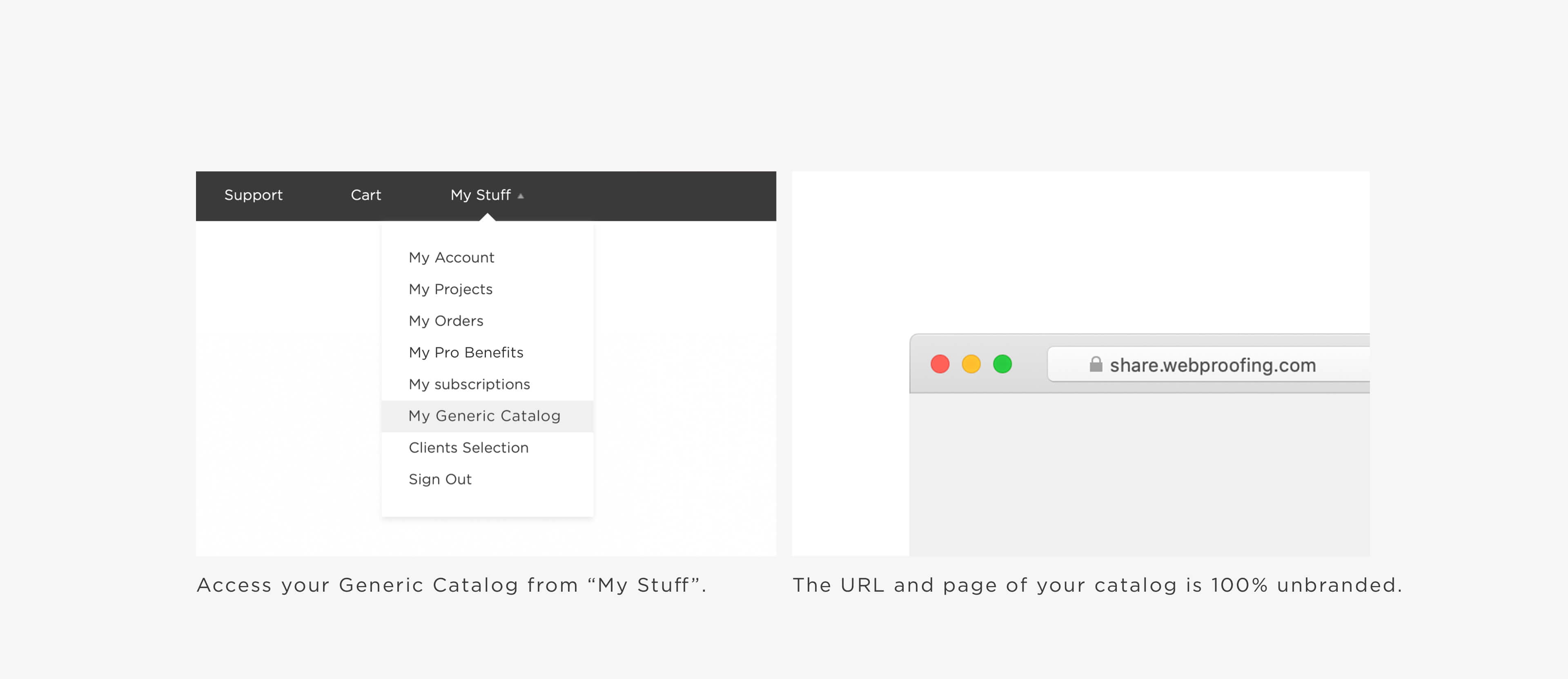 graphic showing the access of generic catalog and a unbranded url